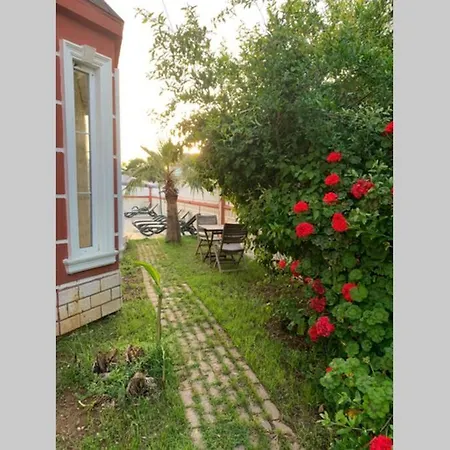Villa Antex Belek *